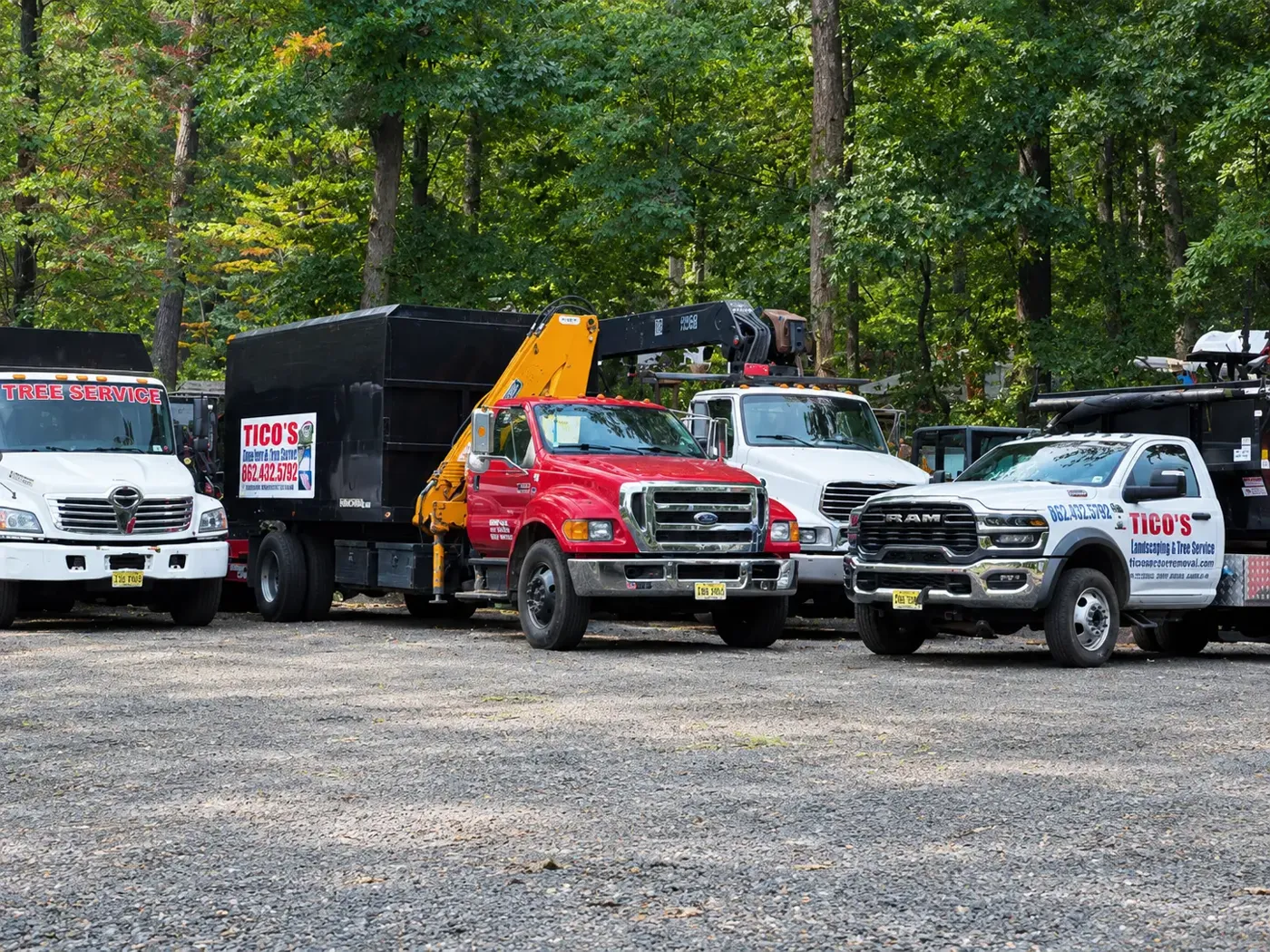 Tico's tree service trucks, including a crane truck and chip truck, parked in a wooded lot