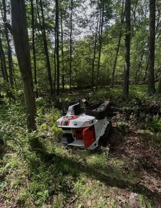Compact tracked loader among trees on a wooded lot